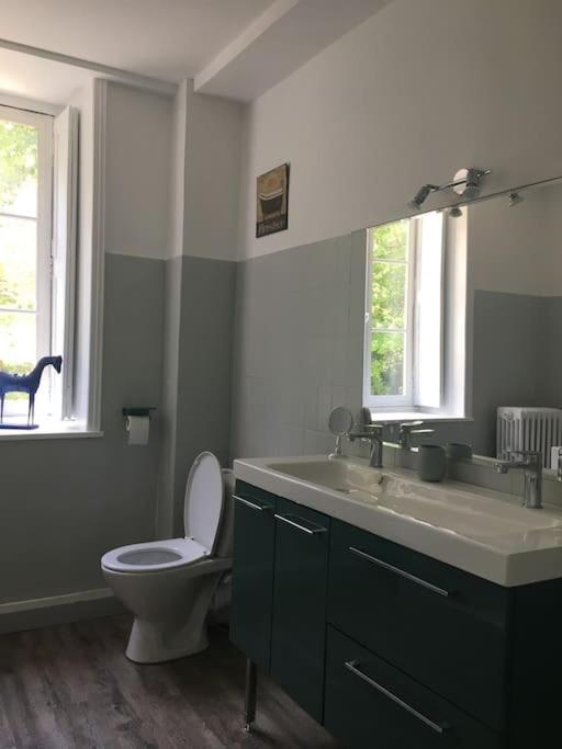 Grand 150m2 Dans Belle Maison Bourgeoise Casa vacanze Vernaison