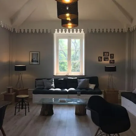 Grand Appart 150M2 Dans Belle Maison Bourgeoise Vernaison Extérieur photo