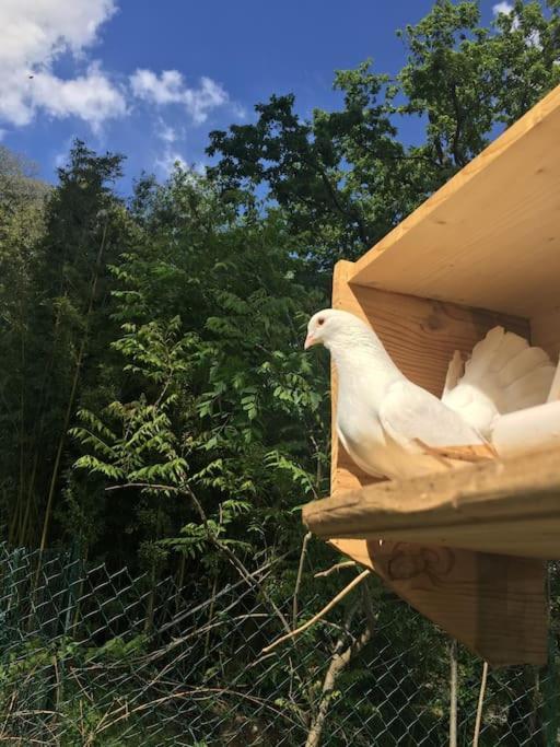 Hébergement de vacances Grand 150m2 Dans Belle Maison Bourgeoise